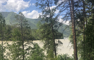 Номер категории  ЦД2 первый этаж